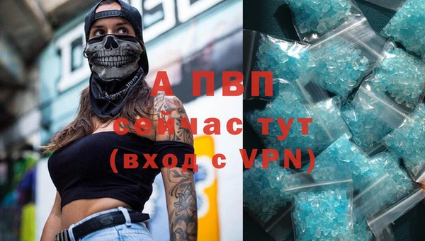 стаф Алексин