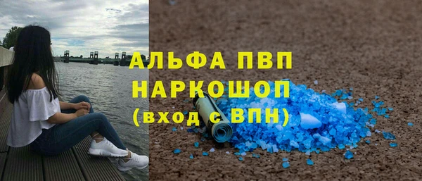 стаф Алексин
