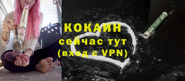 соль ск Алексеевка