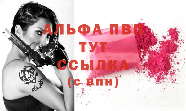 стаф Алексин