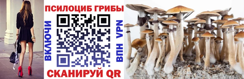 наркотики  Куйбышев  Псилоцибиновые грибы Psilocybe 
